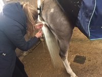 microring extensions