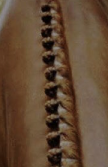 Inzetknot iets langwerpige vorm.