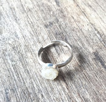 Paardenhaar ring zilver. Prijs &euro; 29,95