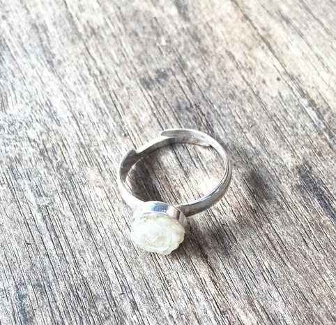 Paardenhaar ring zilver. Prijs € 29,95