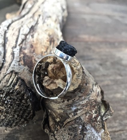 Paardenhaar ring zilver. Prijs € 29,95