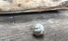 Broche pin knoop.Prijs 25 euro